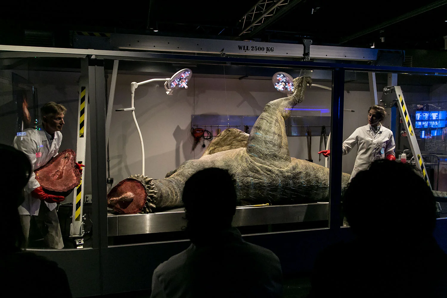 Dinosaurs in the Wild, a new genre of live-action educational entertainment.