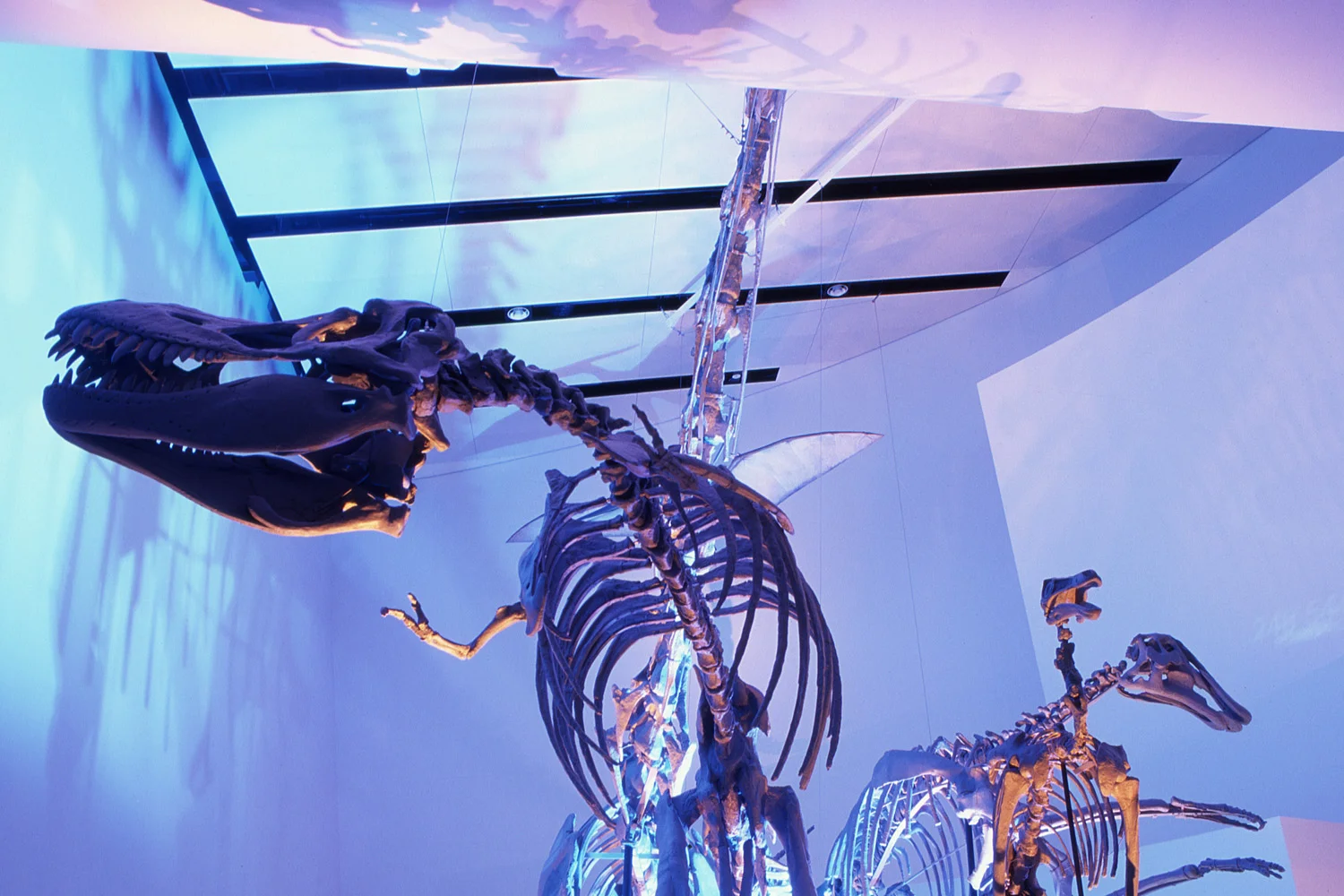FRD-Dinosaurs-in-Time-1.jpg