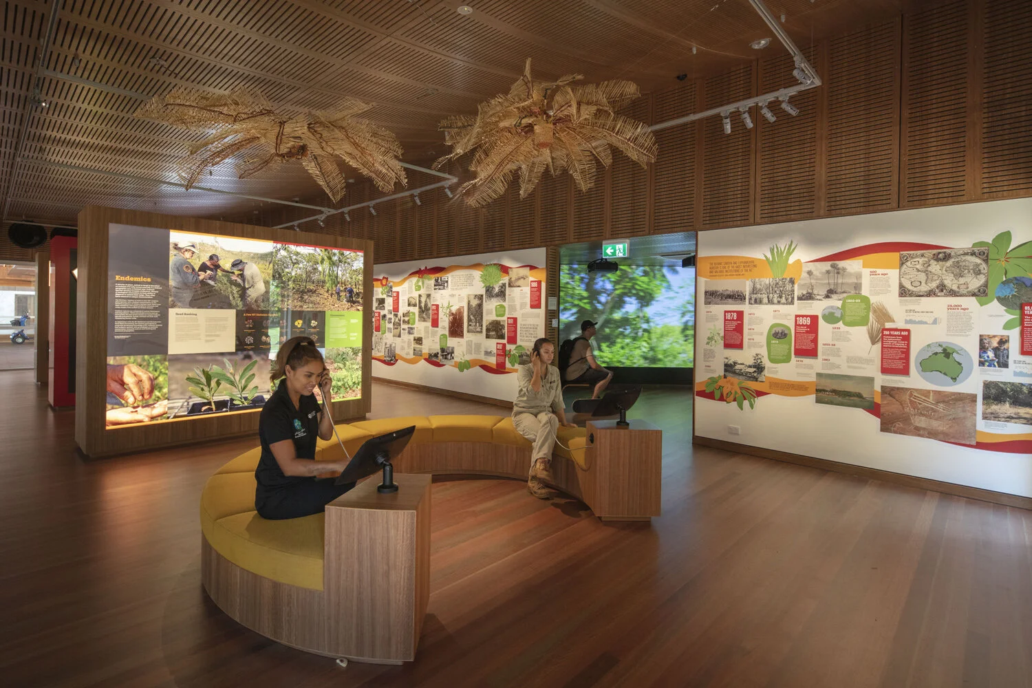 Darwin Grown — Freeman Ryan Design