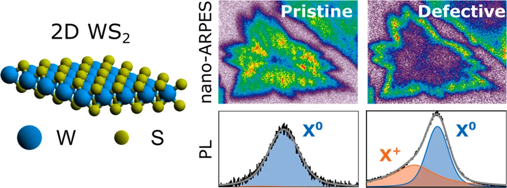 New results on defects in WS2