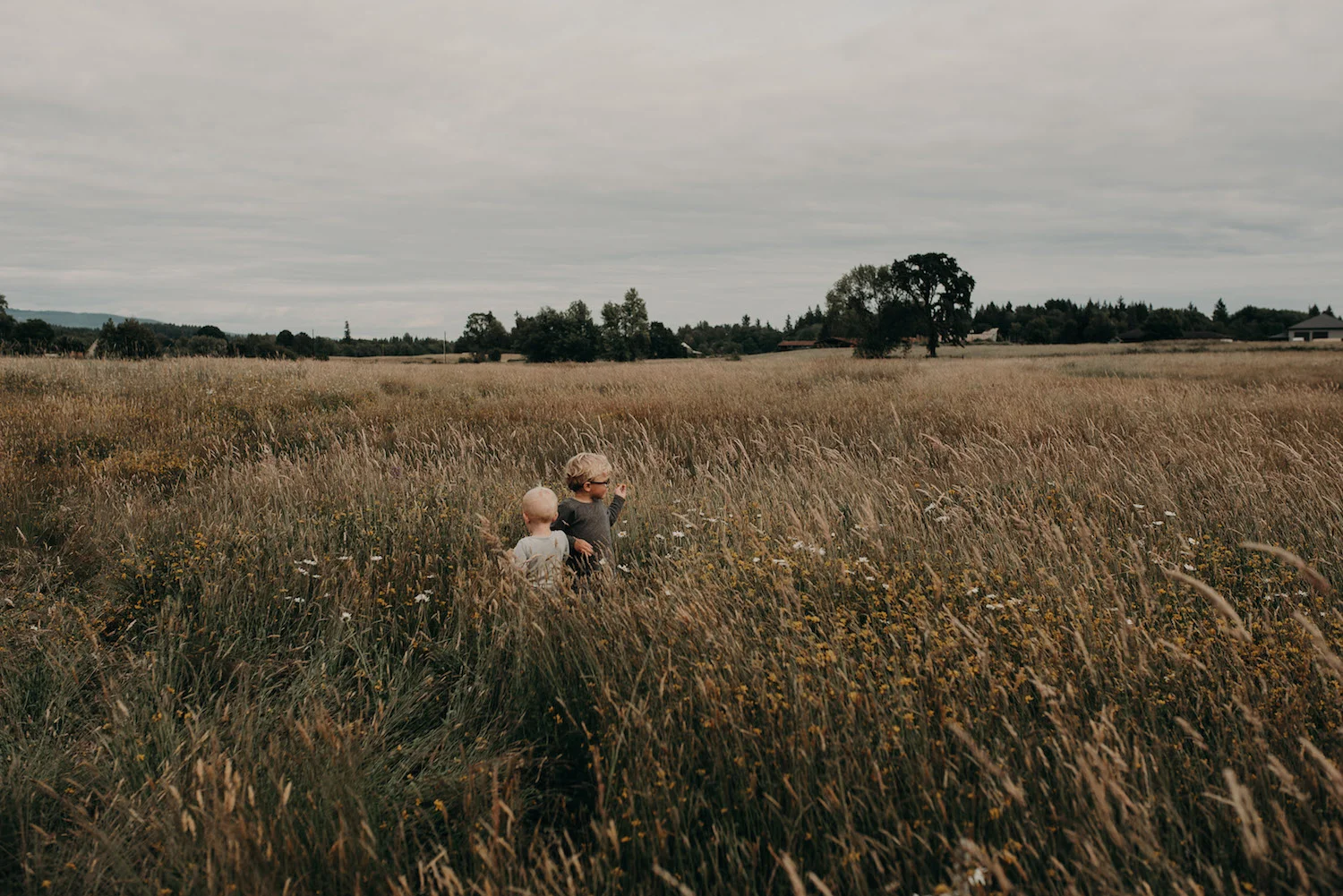 Will + Rowan
