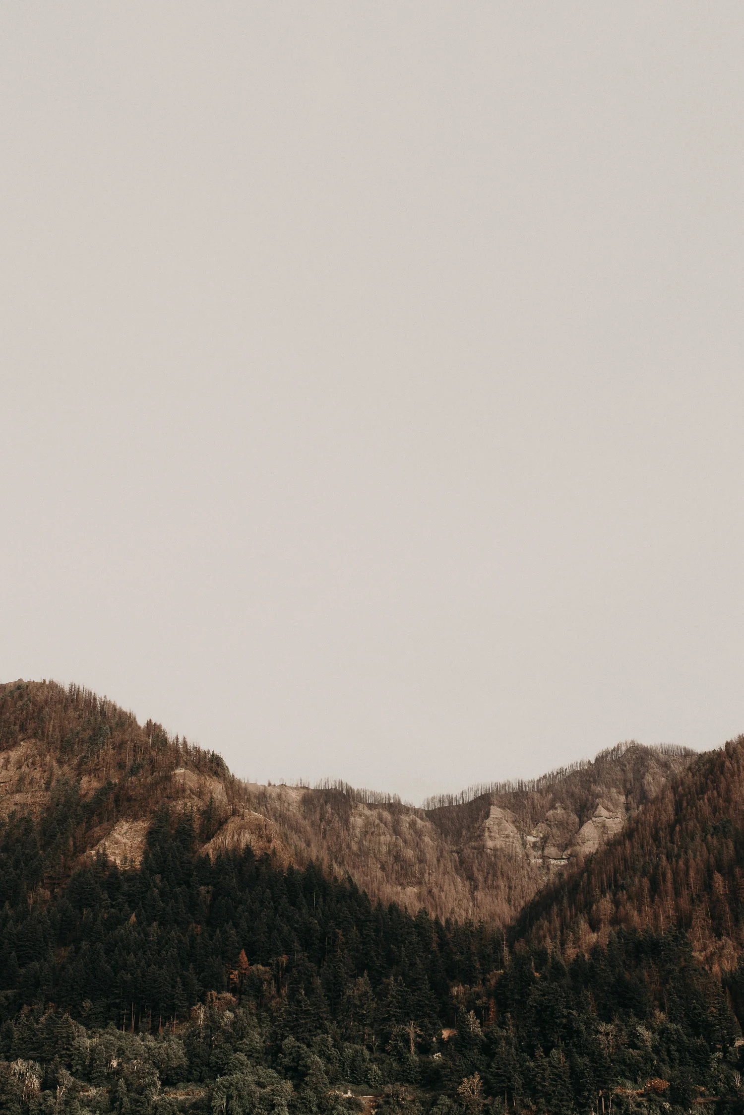 aleyshajosh-columbia-river-shoot-11.jpg