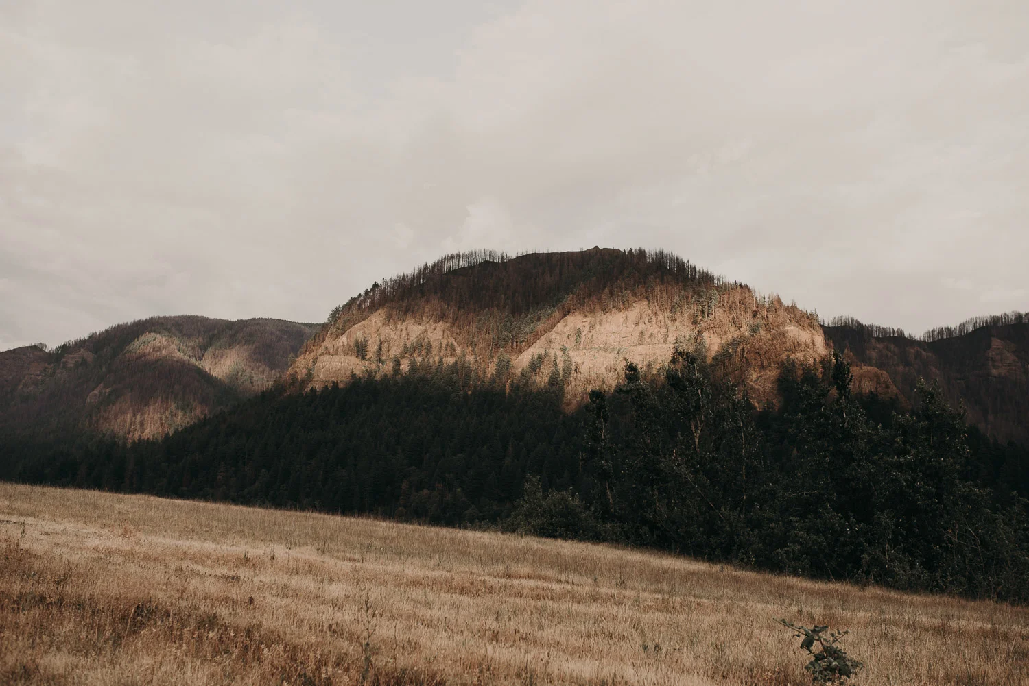 aleyshajosh-columbia-river-shoot-66.jpg