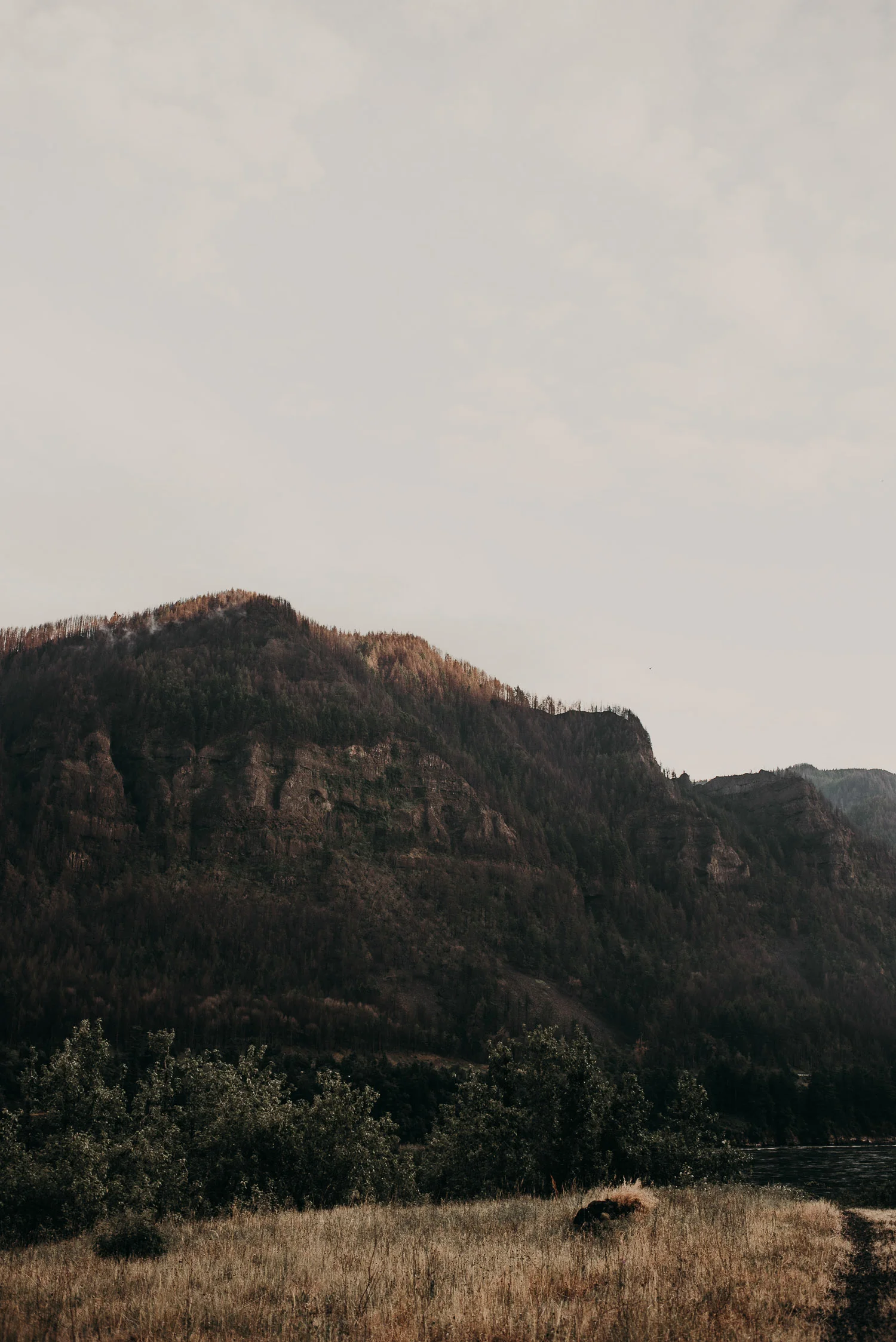 aleyshajosh-columbia-river-shoot-76.jpg