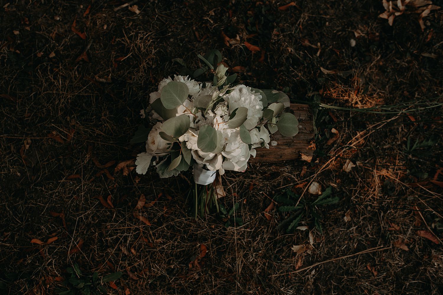 Kayla_Josh_Oregon_Wedding_July29_2018_0197.jpg