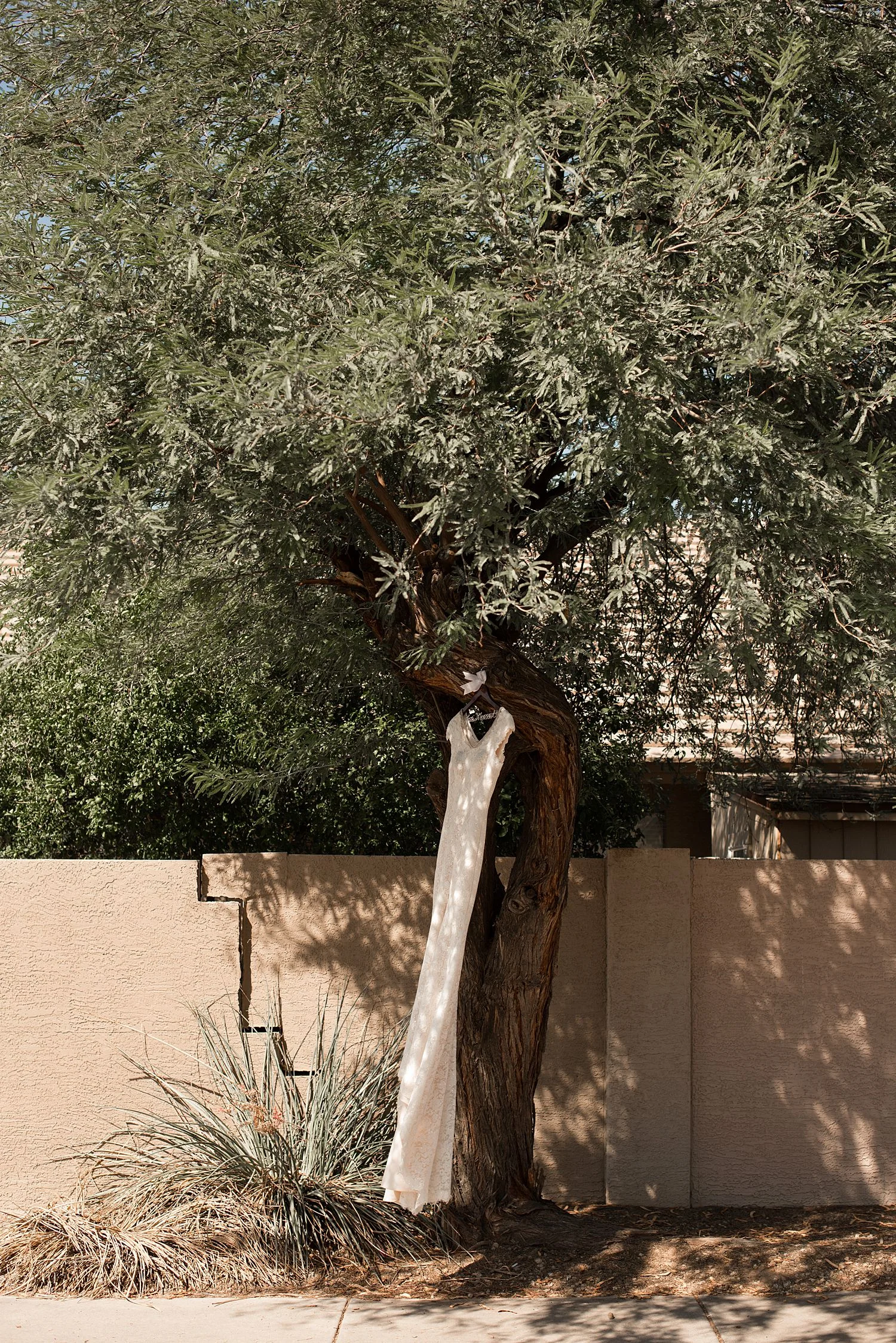 Abby_Andrew_Scottsdale_Arizona_Wedding_0830.jpg