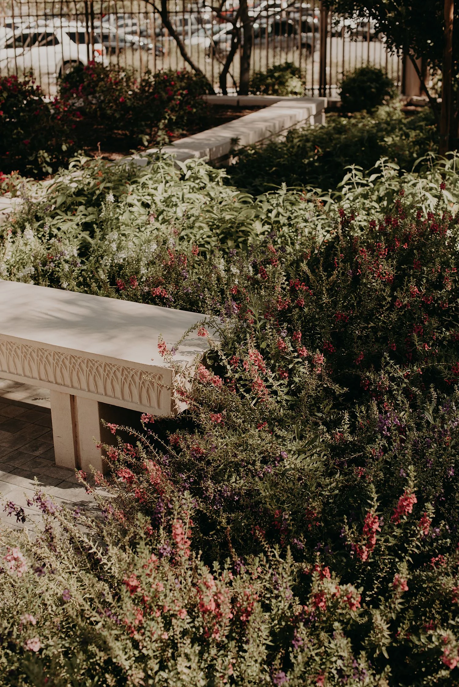 Abby_Andrew_Scottsdale_Arizona_Wedding_0855.jpg