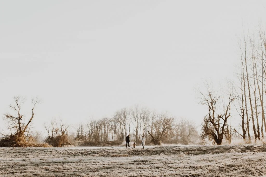 Cfam_photos_2017-84-1024x683.jpg
