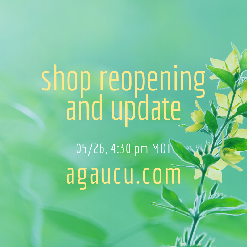 Shop Reopening and Update
