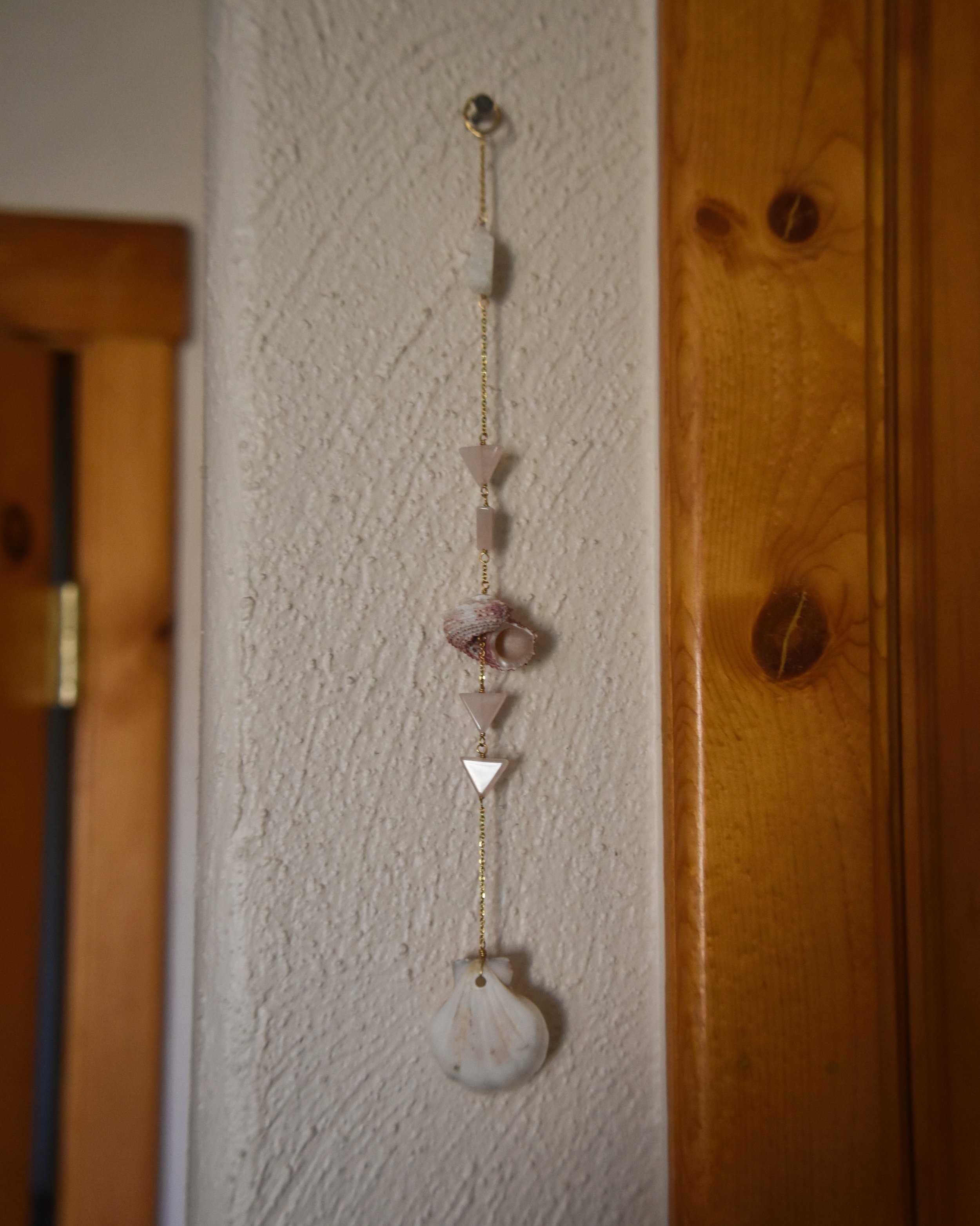 20250107-DSC_0013_20250107133525845.jpg