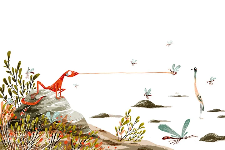 Sebastiaan Van Doninck