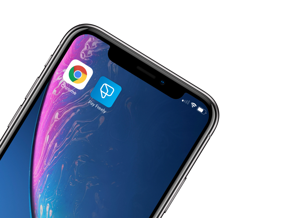 payfreely-asset-kit-app.png