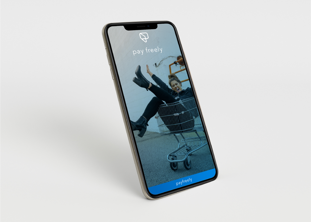 payfreely-asset-kit-landing-page.png