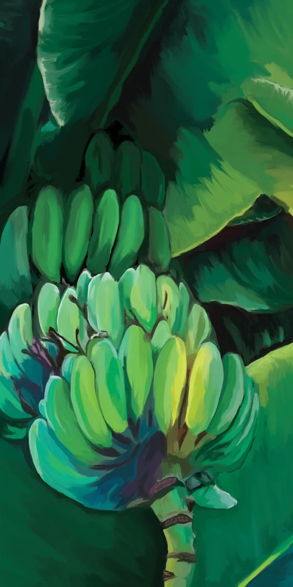 racimo-platanos-all.jpg