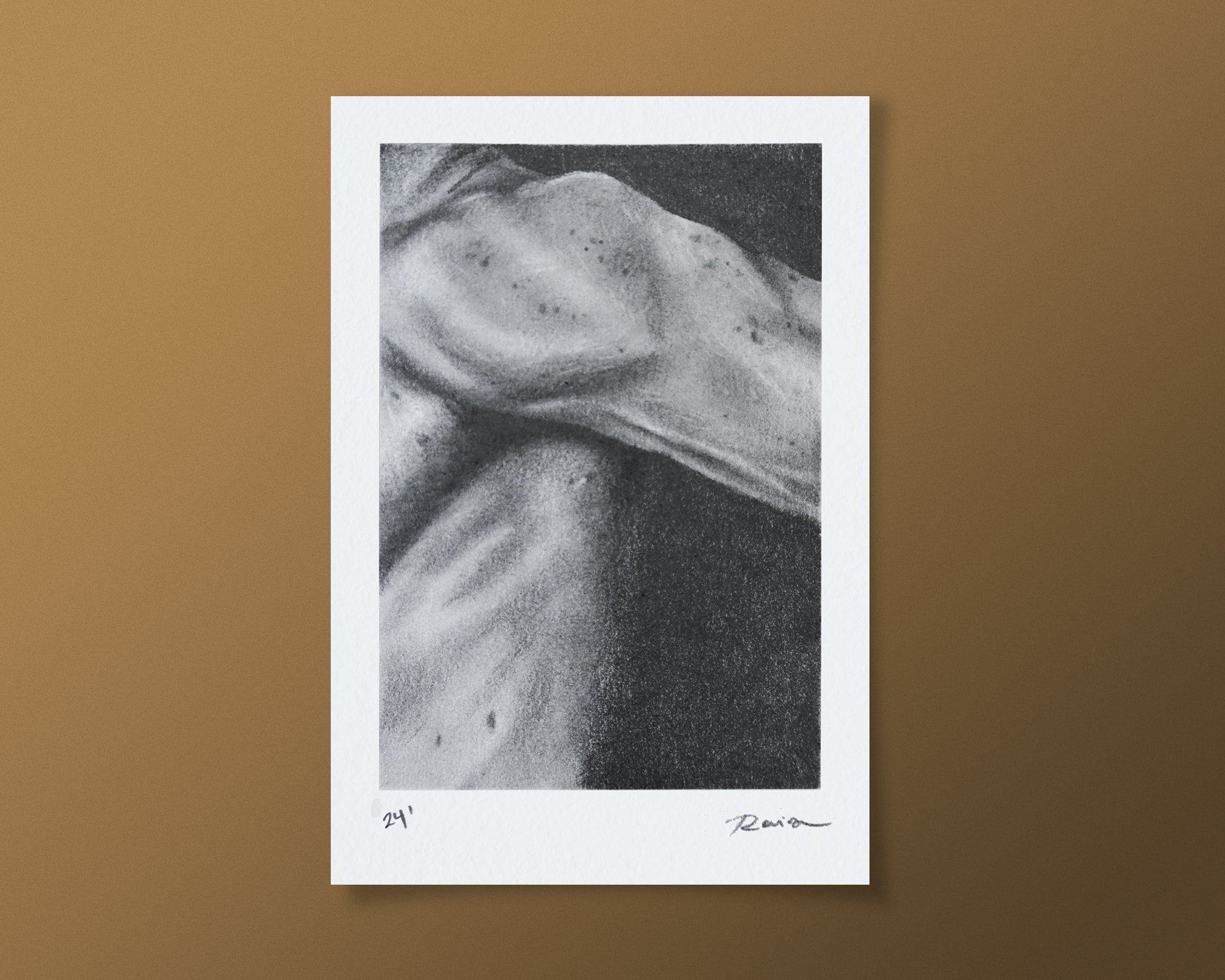 2040422-brazo-Display.jpg