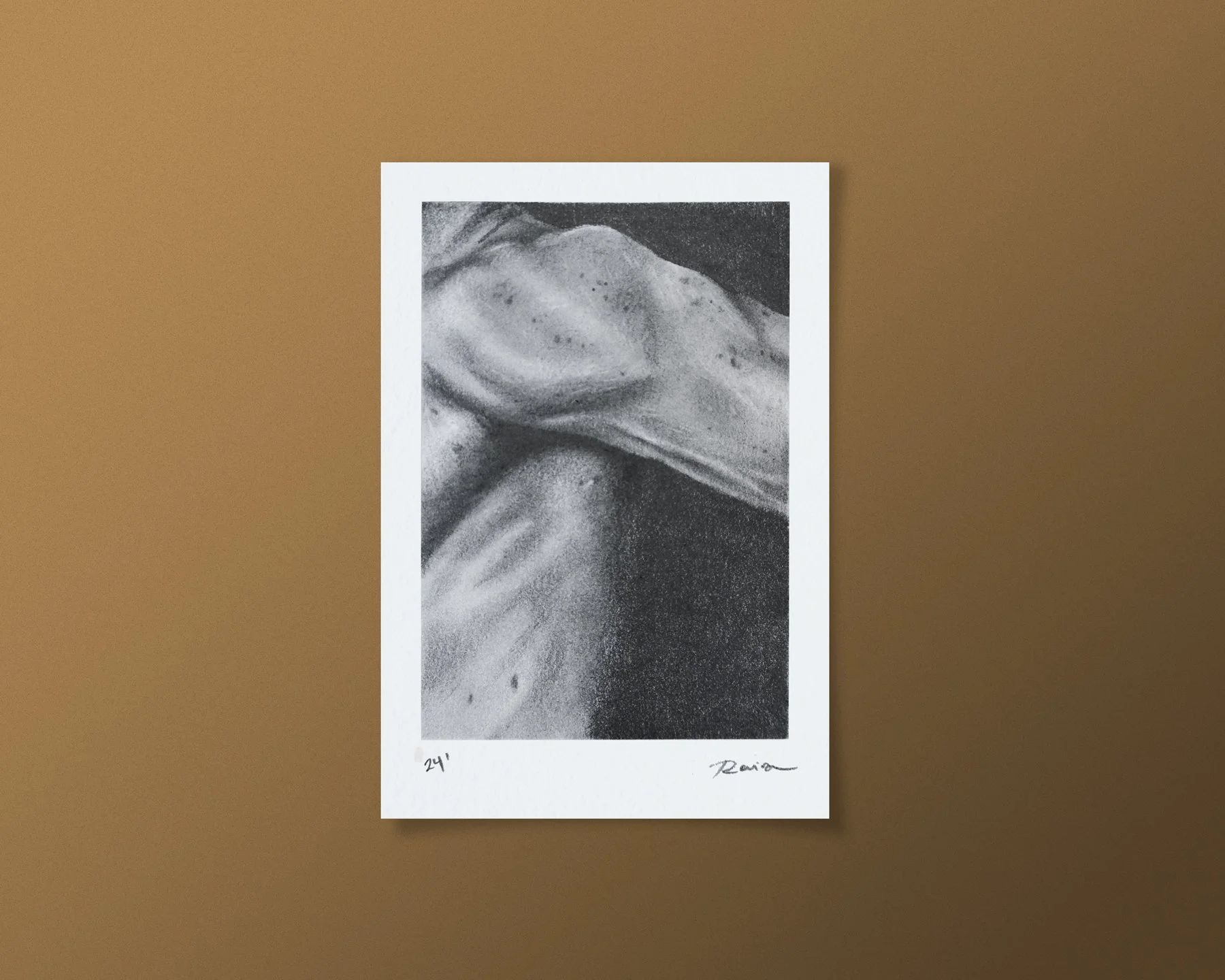2040422-brazo-Display.jpg