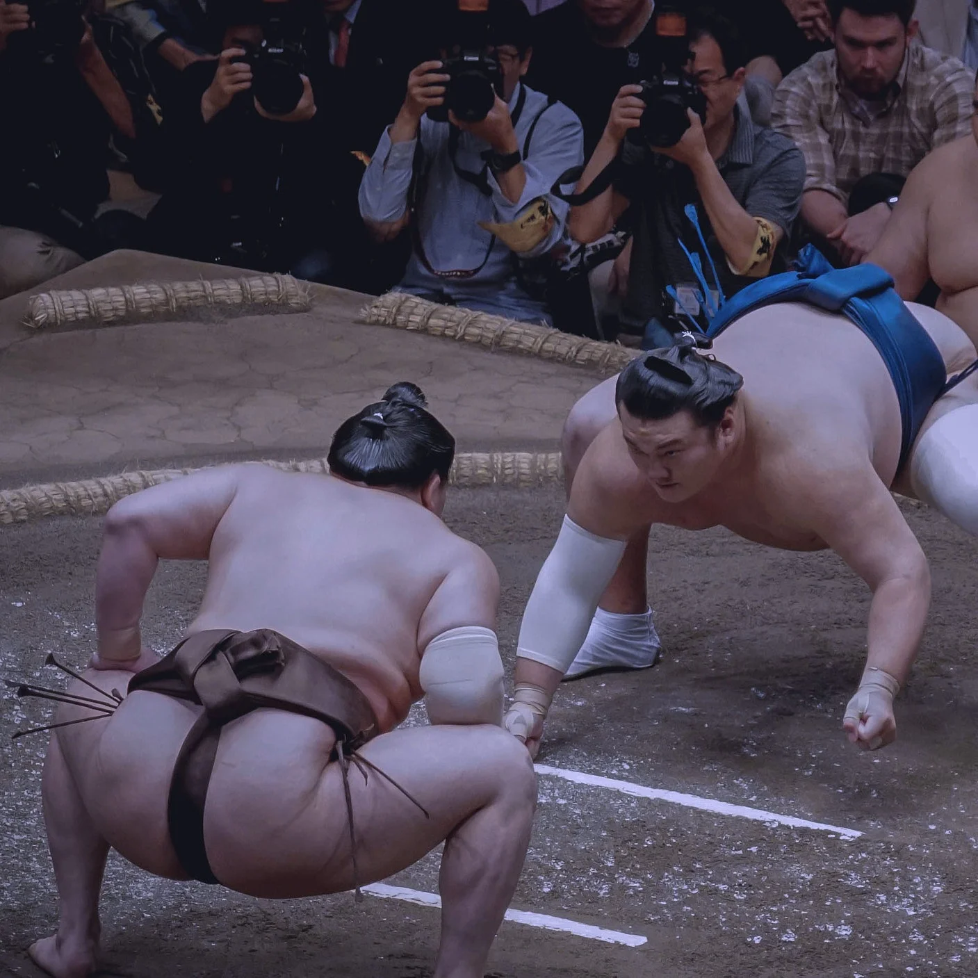 Sumo.jpg