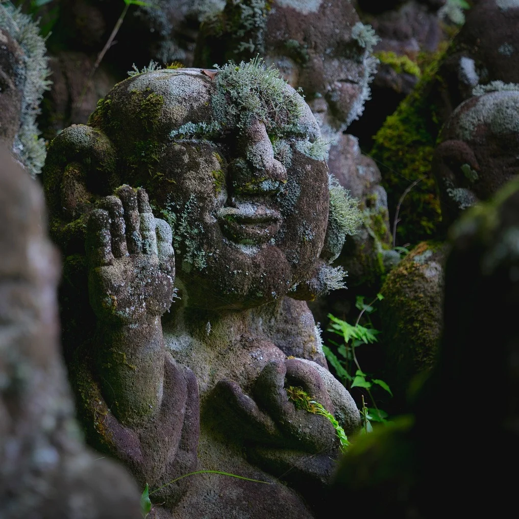 Kyoto+-+Otagi+5.jpg