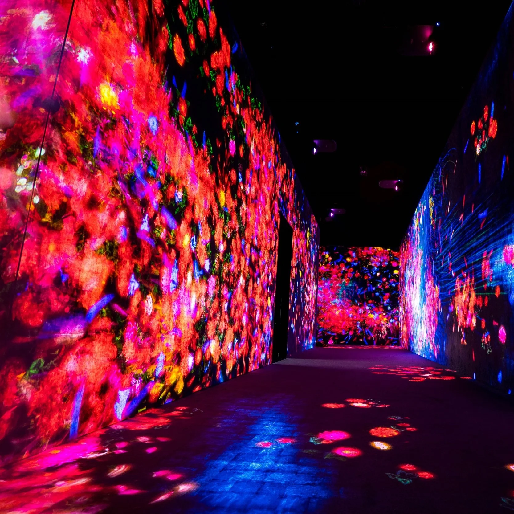 Tokyo+-+TeamLab.jpg
