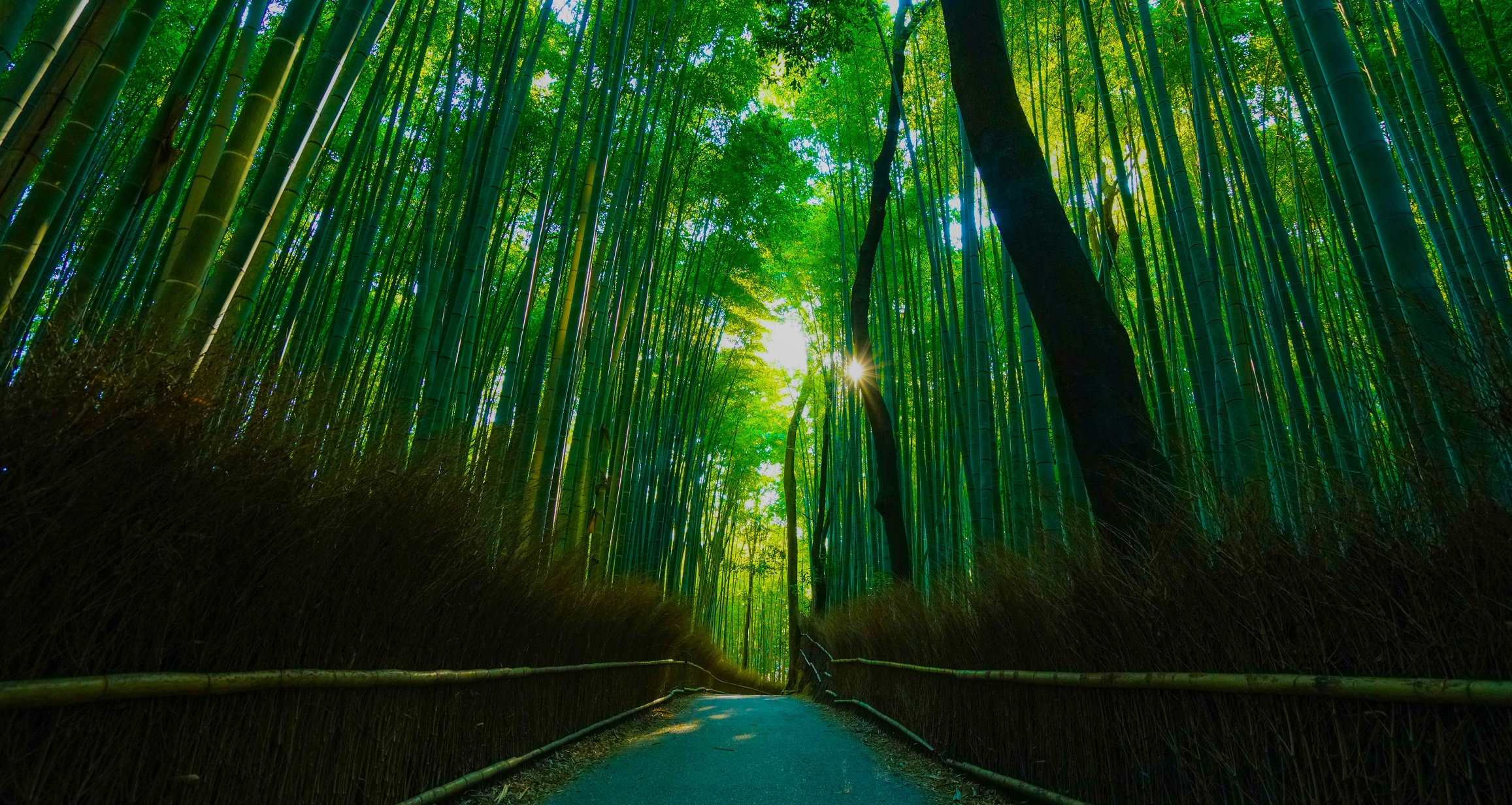 02 YOURTRIP.jpg