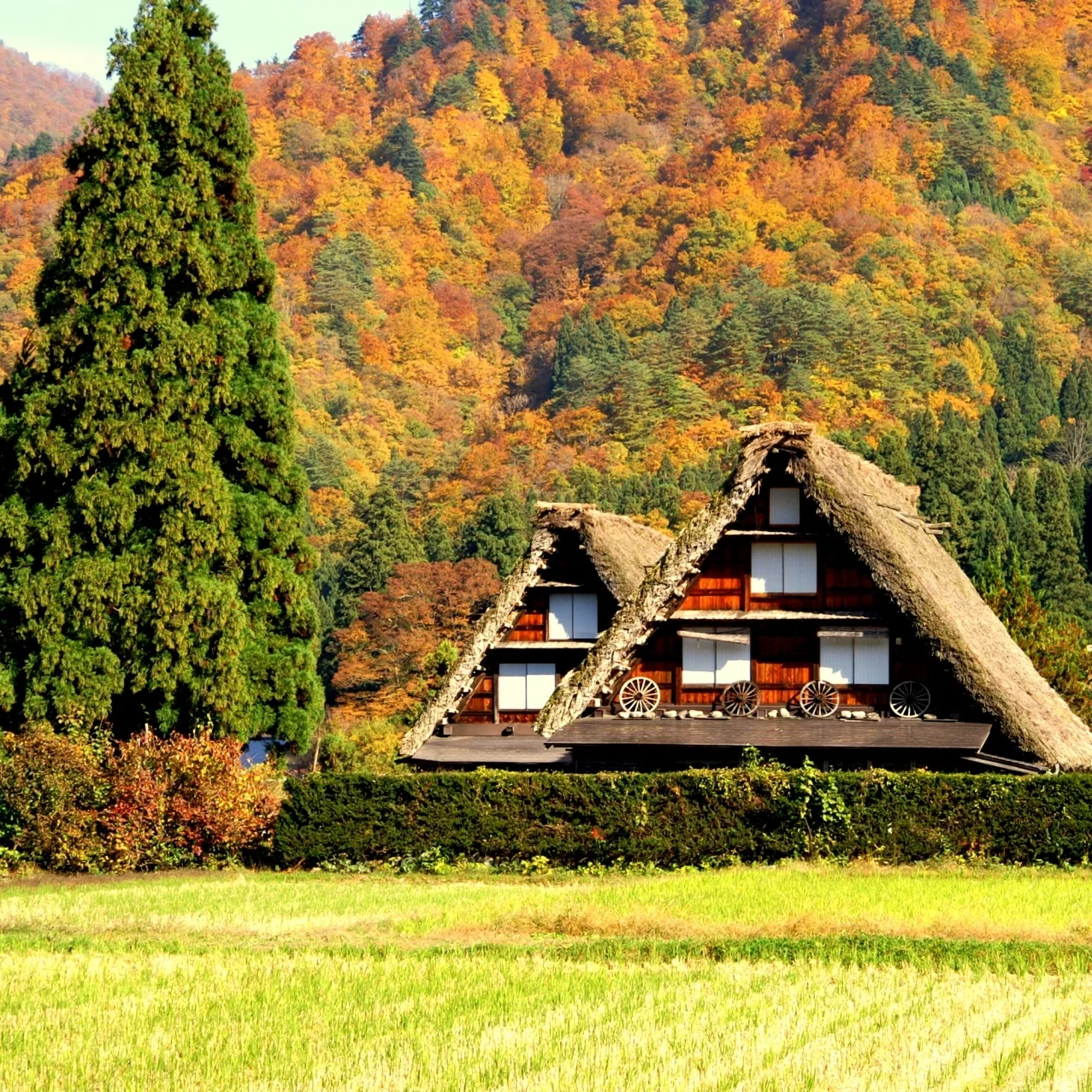 japan+autumn+takayama.jpg