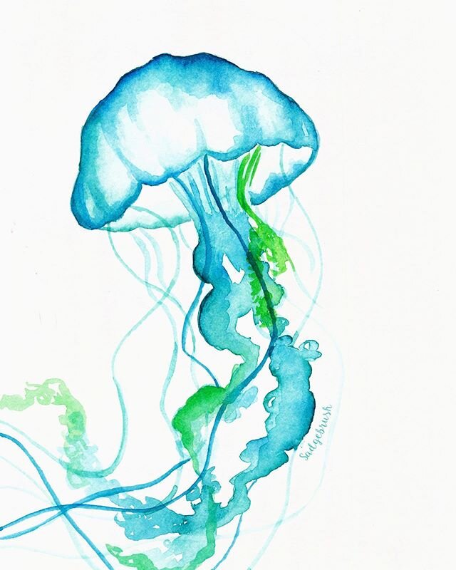 Coming in hot with the restock!
.
.
.
.
#sadgebrushdesigns #jellyfish #jellyfishpainting #stationary #watercolorpainting #watercolor #watercolorillustration #blue #green #underthesea #nauticaldesign #sealifeart #illustration #smallbusiness #supportar