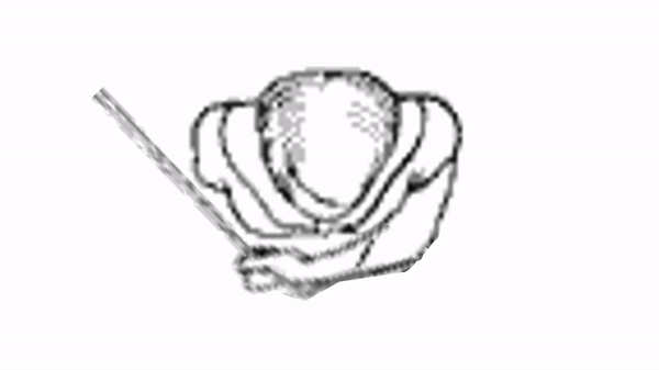 shoulder-exersize.gif