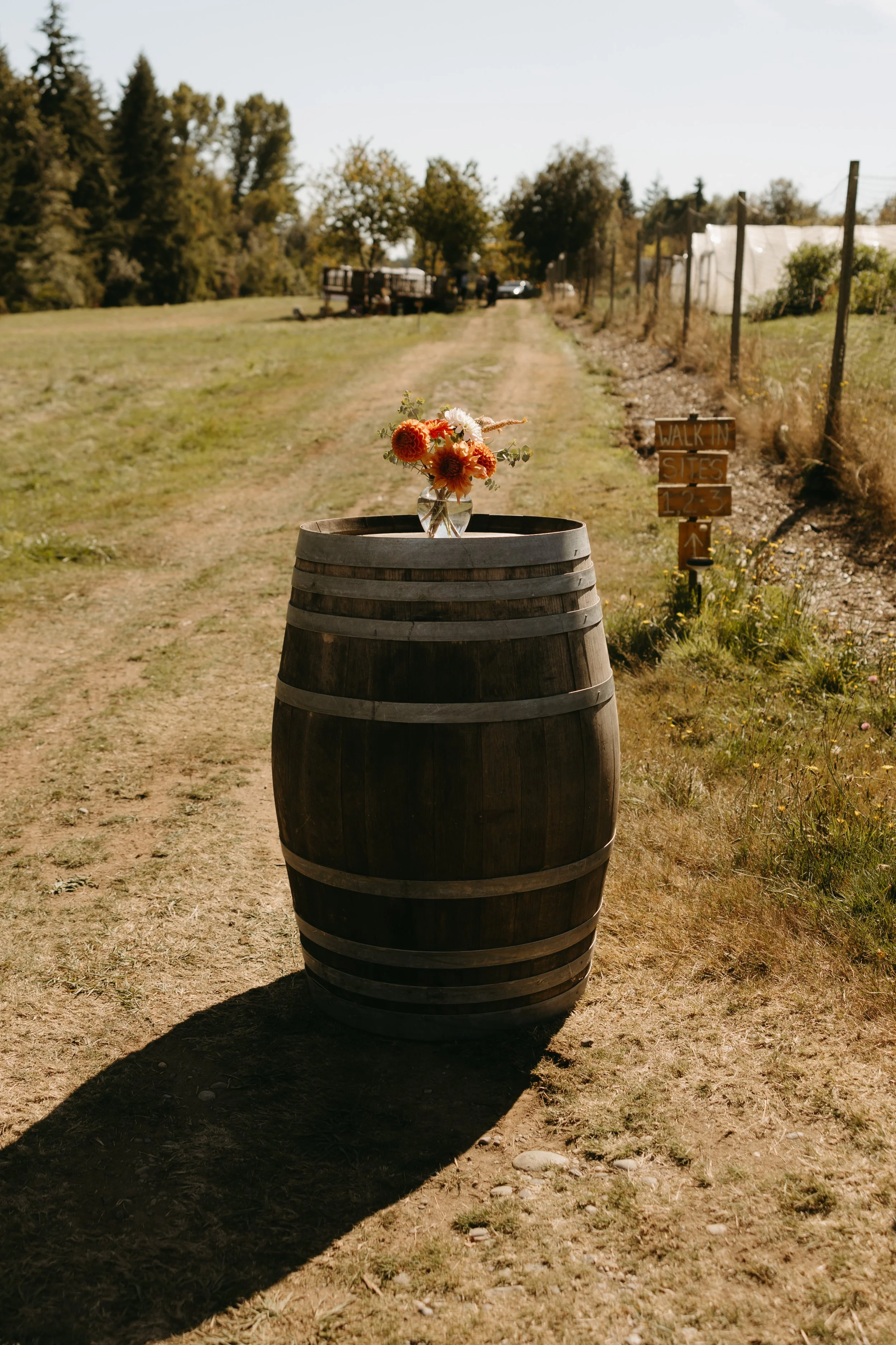 EmilyandGabe-4 2.JPG