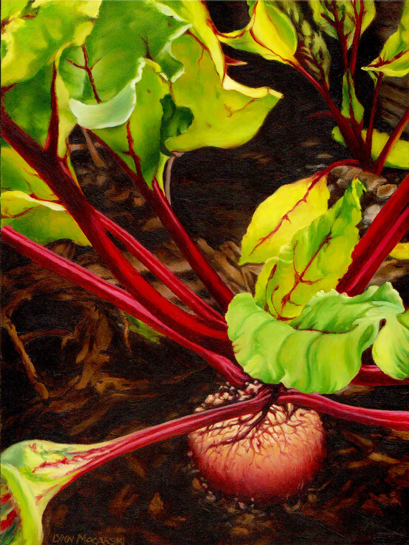 Beet Beauty Lynn Mocarski .jpg
