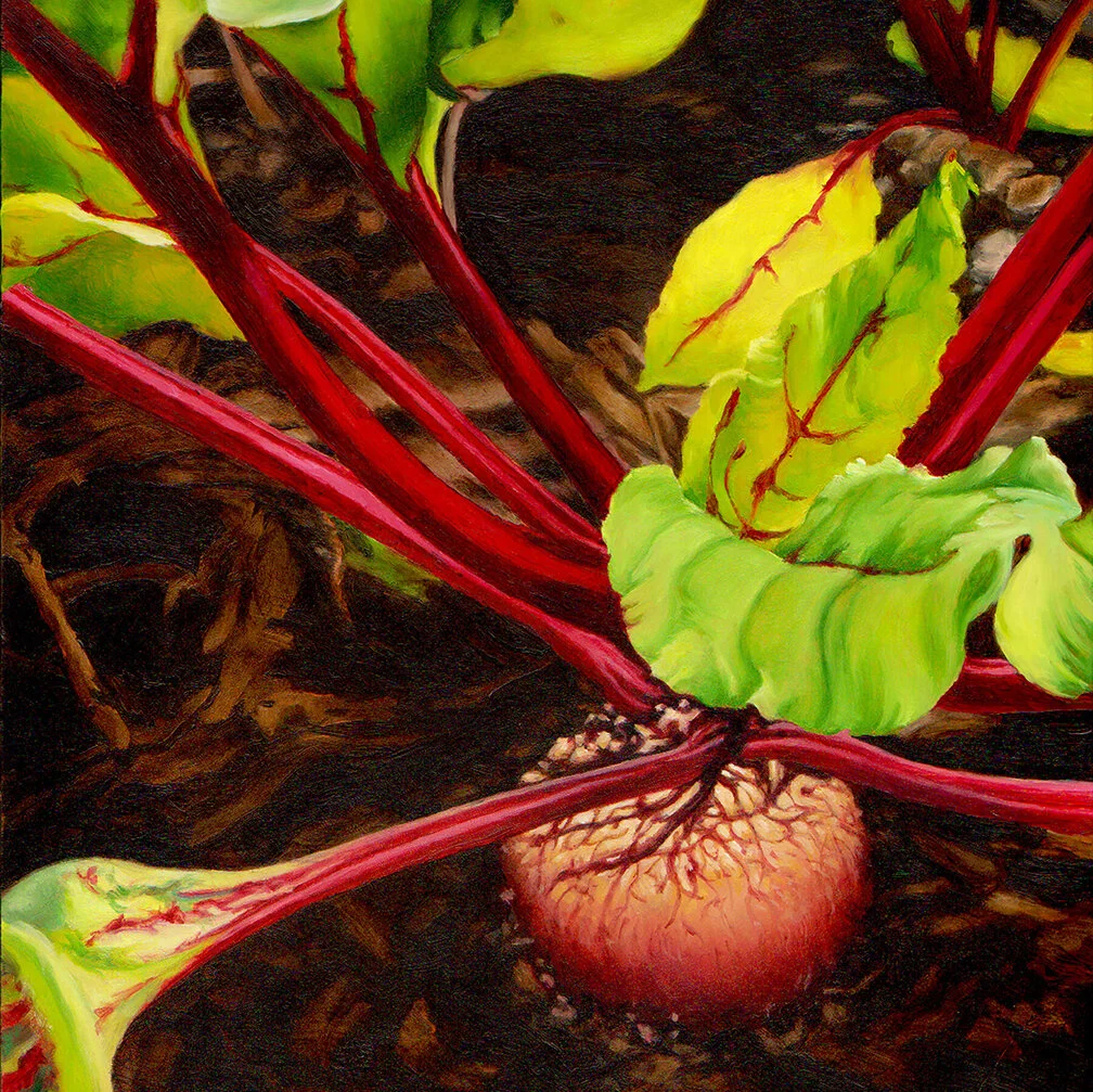 Beet Beauty