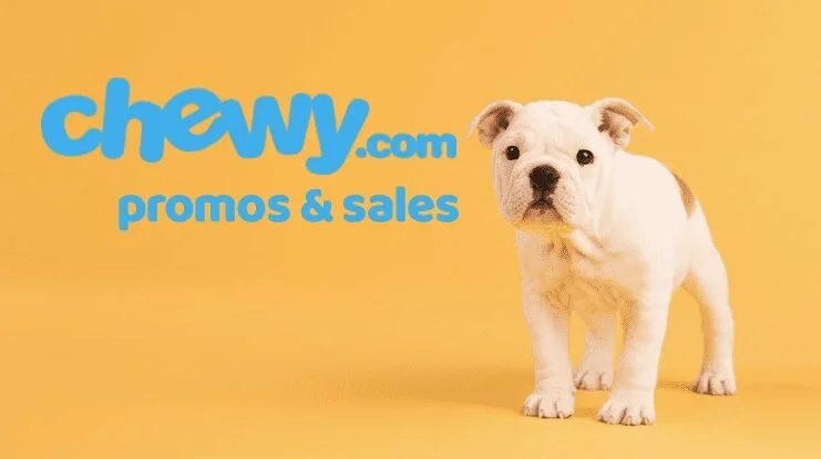 chewy promotions