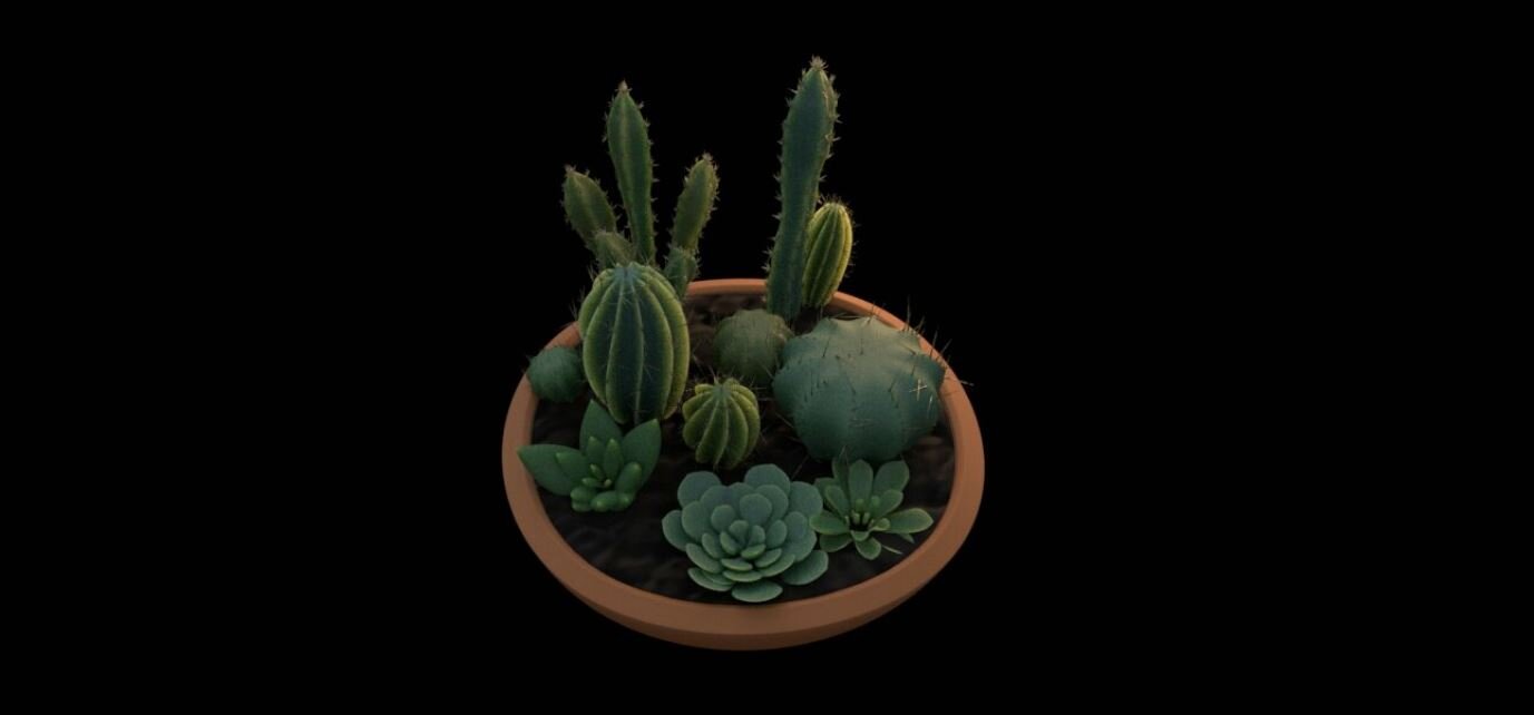 Procedural Cactus