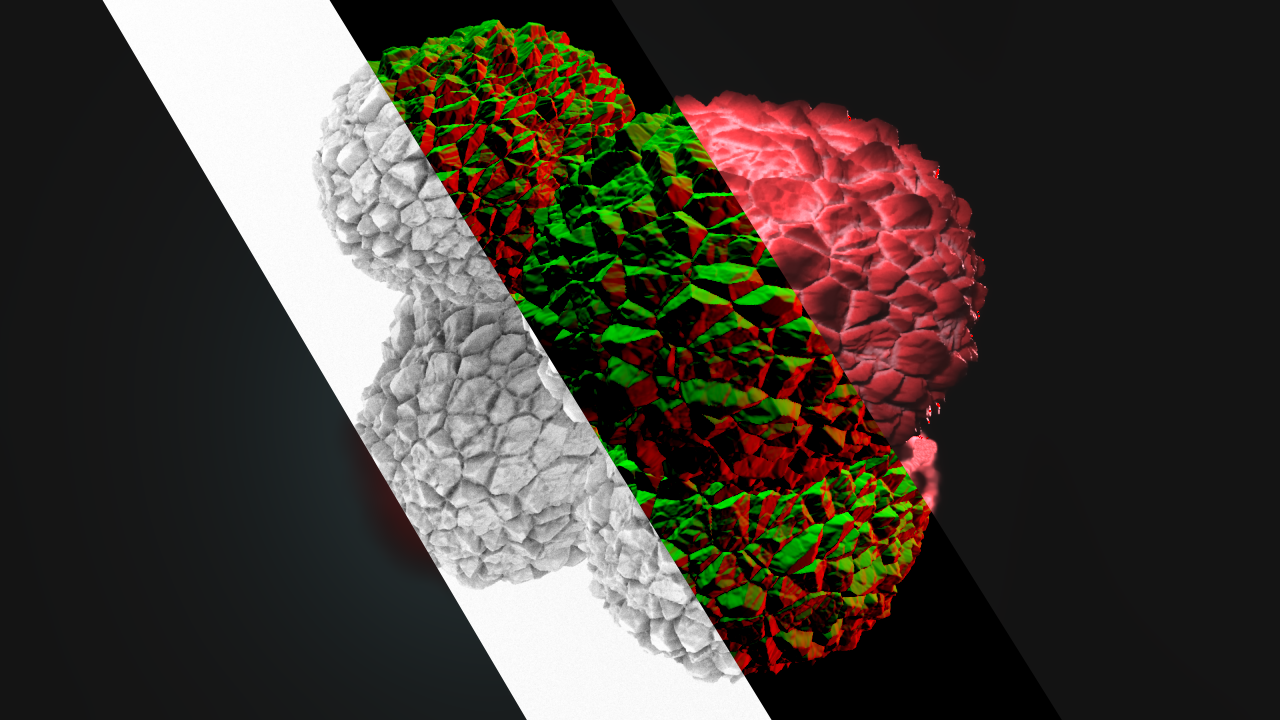 Procedural Lychee