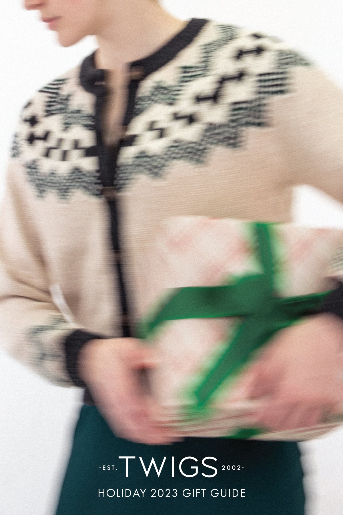 TwigsHolidayGiftGuide_PRINT_nobleed-1.jpg
