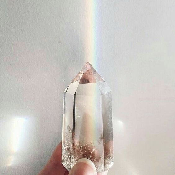 fullsizeoutput_1ee7.jpeg