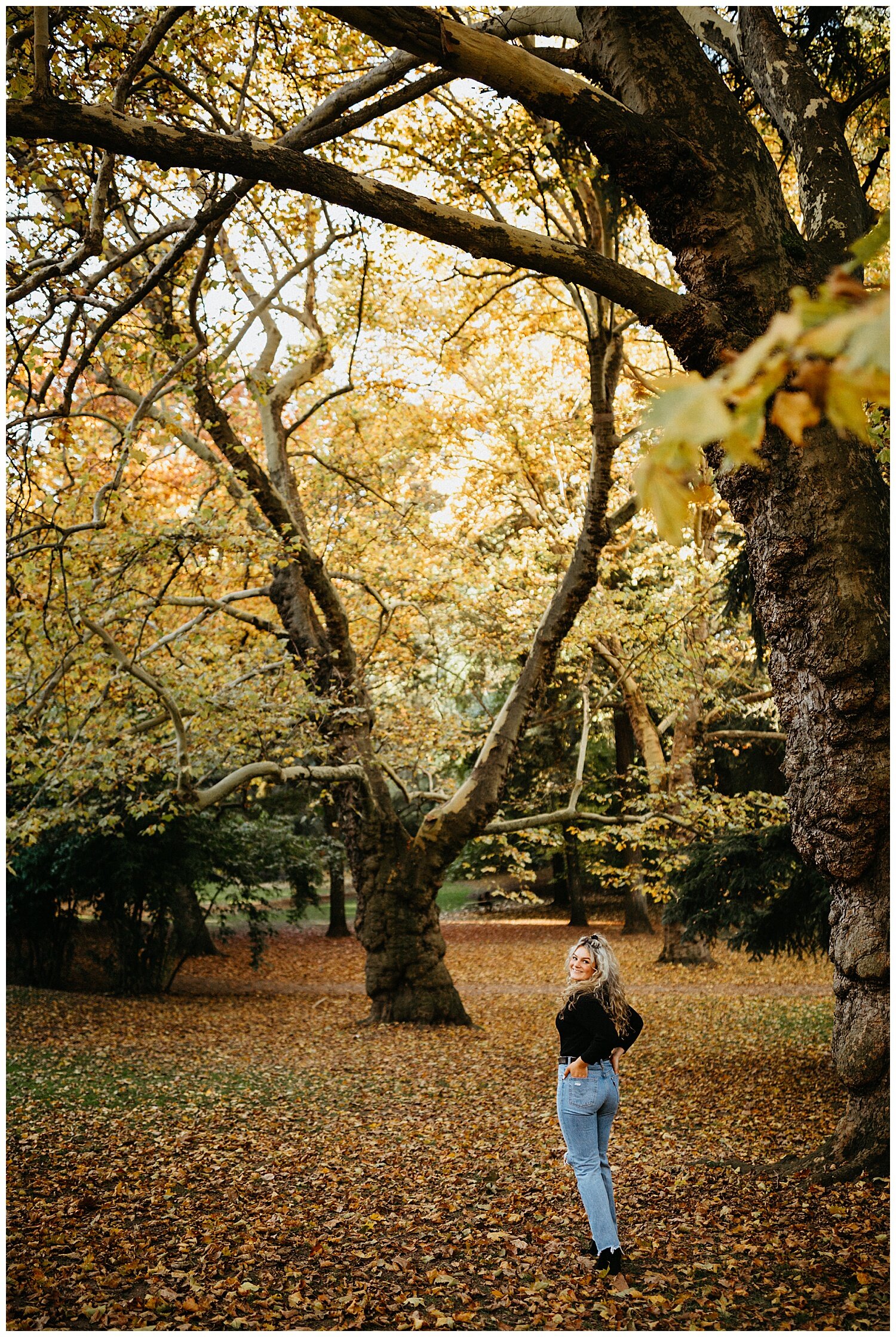  Fall colors in Portland, Oregon for this high school senior. 