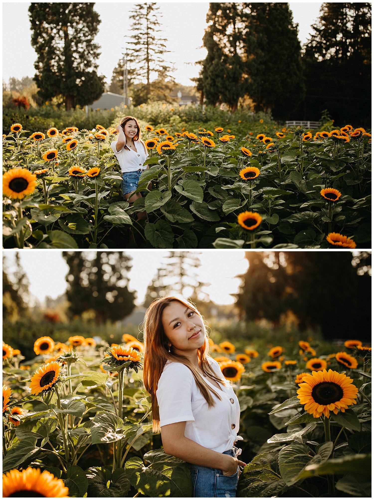 sunflower-senior-photos236.JPG