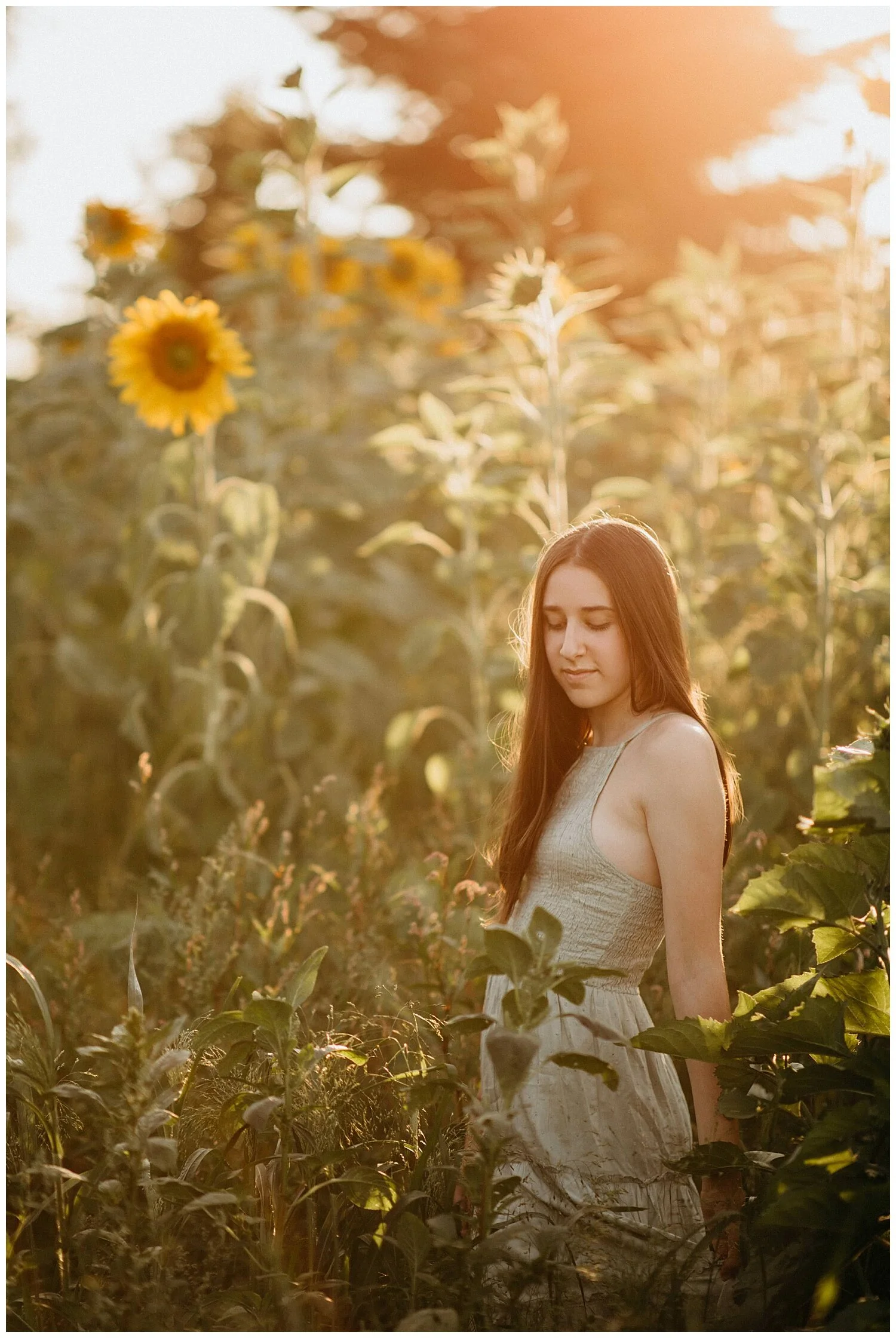 sunflower-senior-photos243.JPG