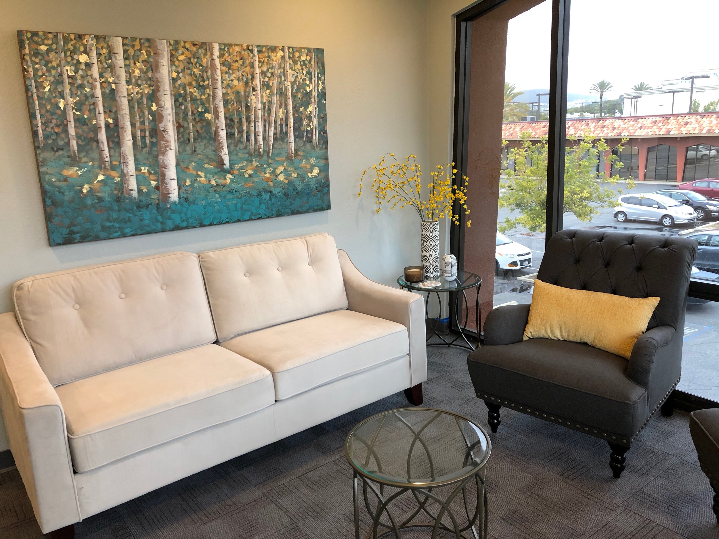 Take A Virtual Tour Of Our New San Marcos Therapy Office