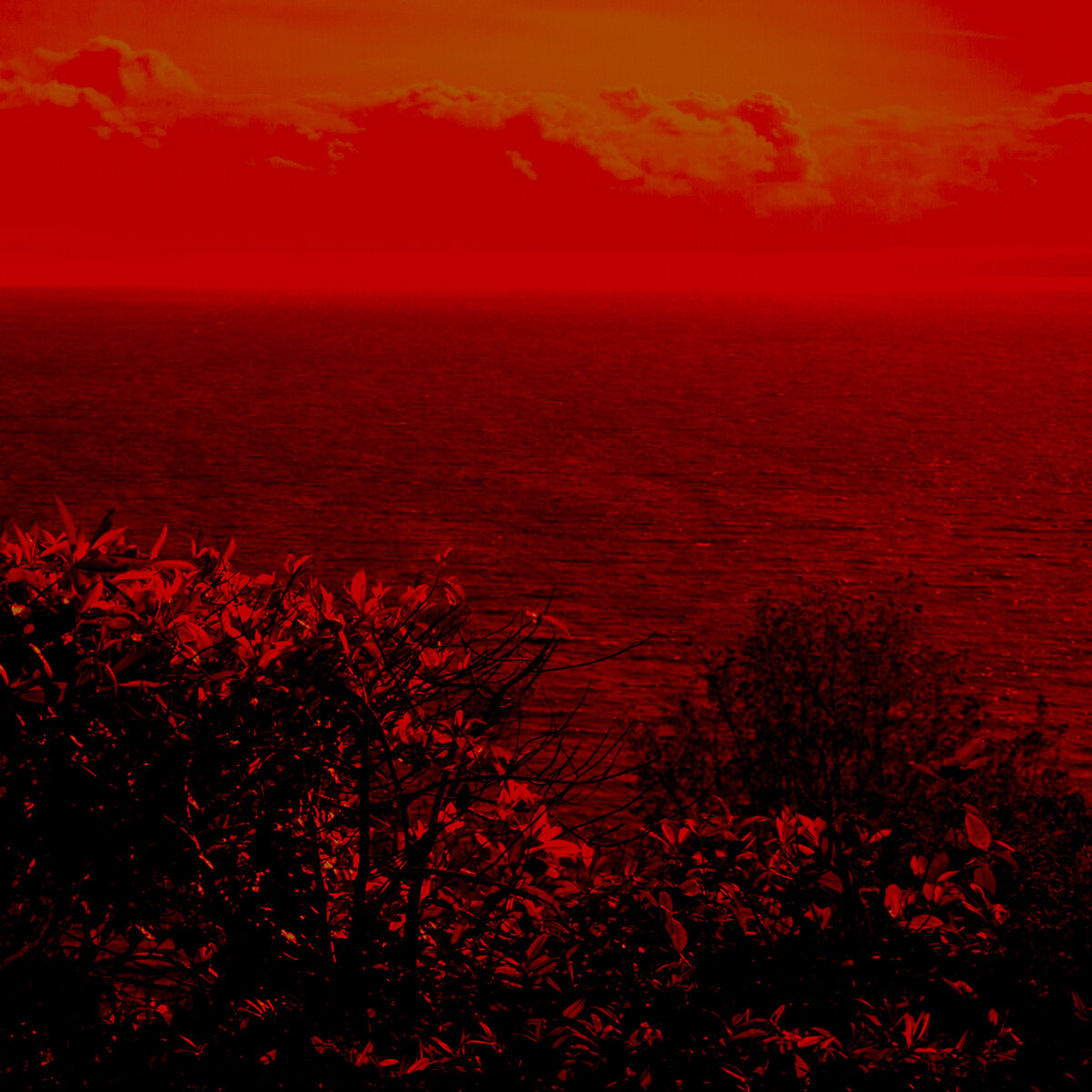 NiGHTofAL red water image
