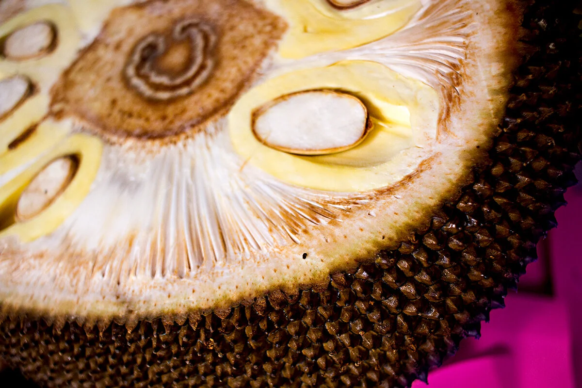 Jackfruit raw Alexander K. Harris Photography 1 of 3 7-29-2020