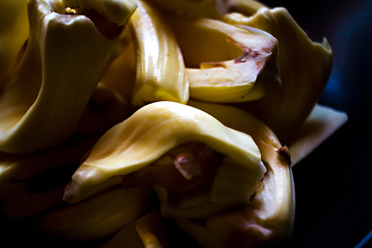 Jackfruit raw Alexander K. Harris Photography 2 of 3 7-29-2020