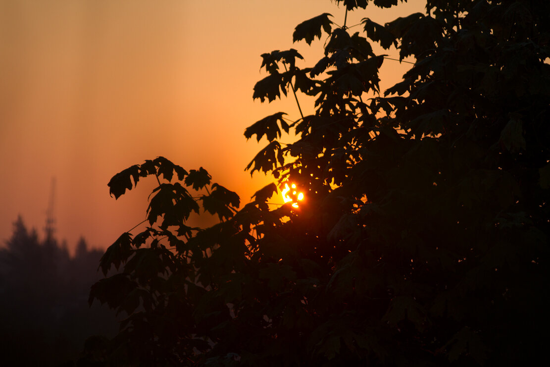 Rising sun in smoke sky 2 9-9-2020  Alexander K Harris photography raw image