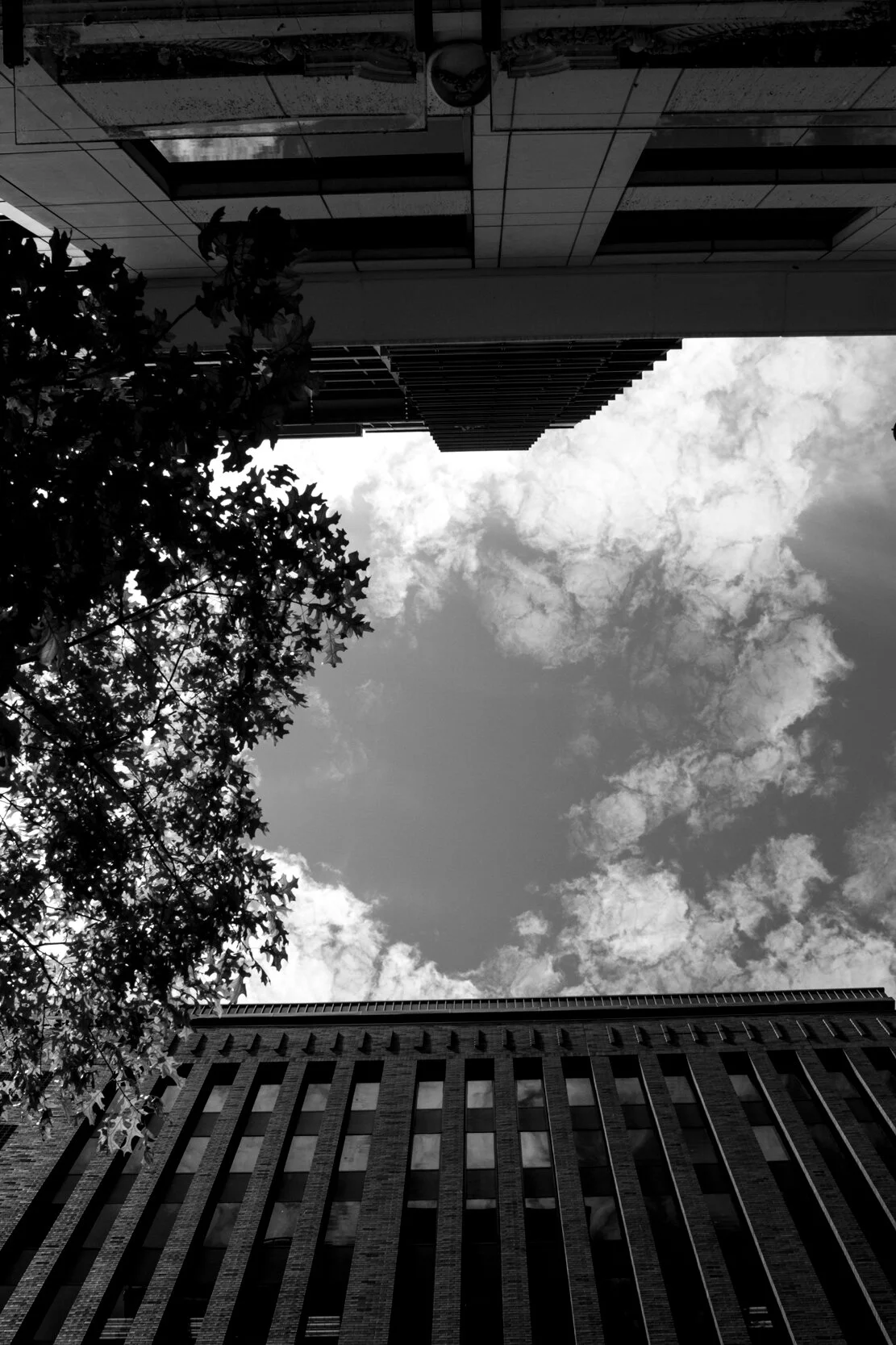 looking up 7-12-2019 