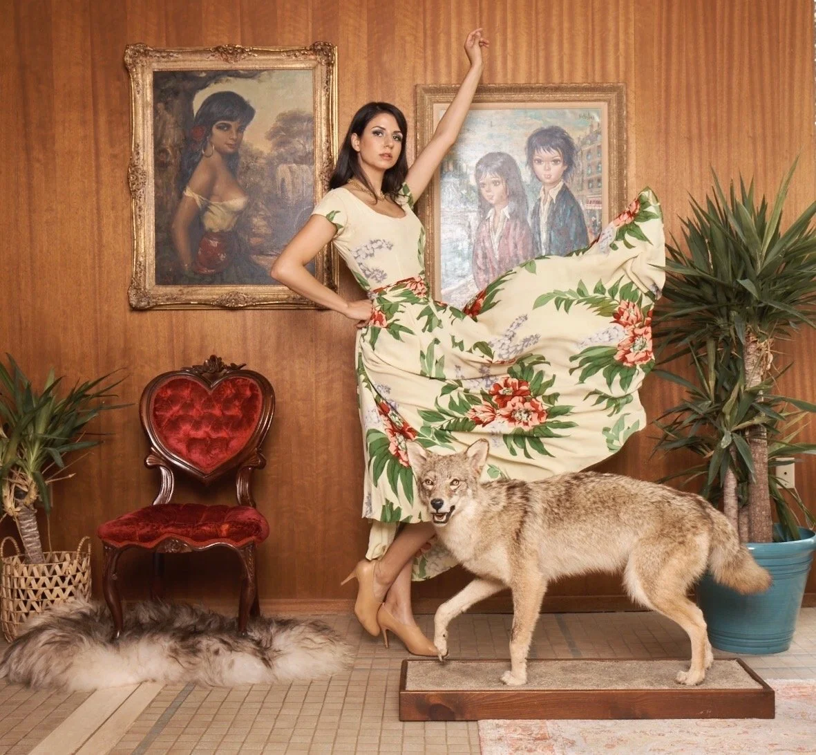 Photo by Matt LaVere / 2019