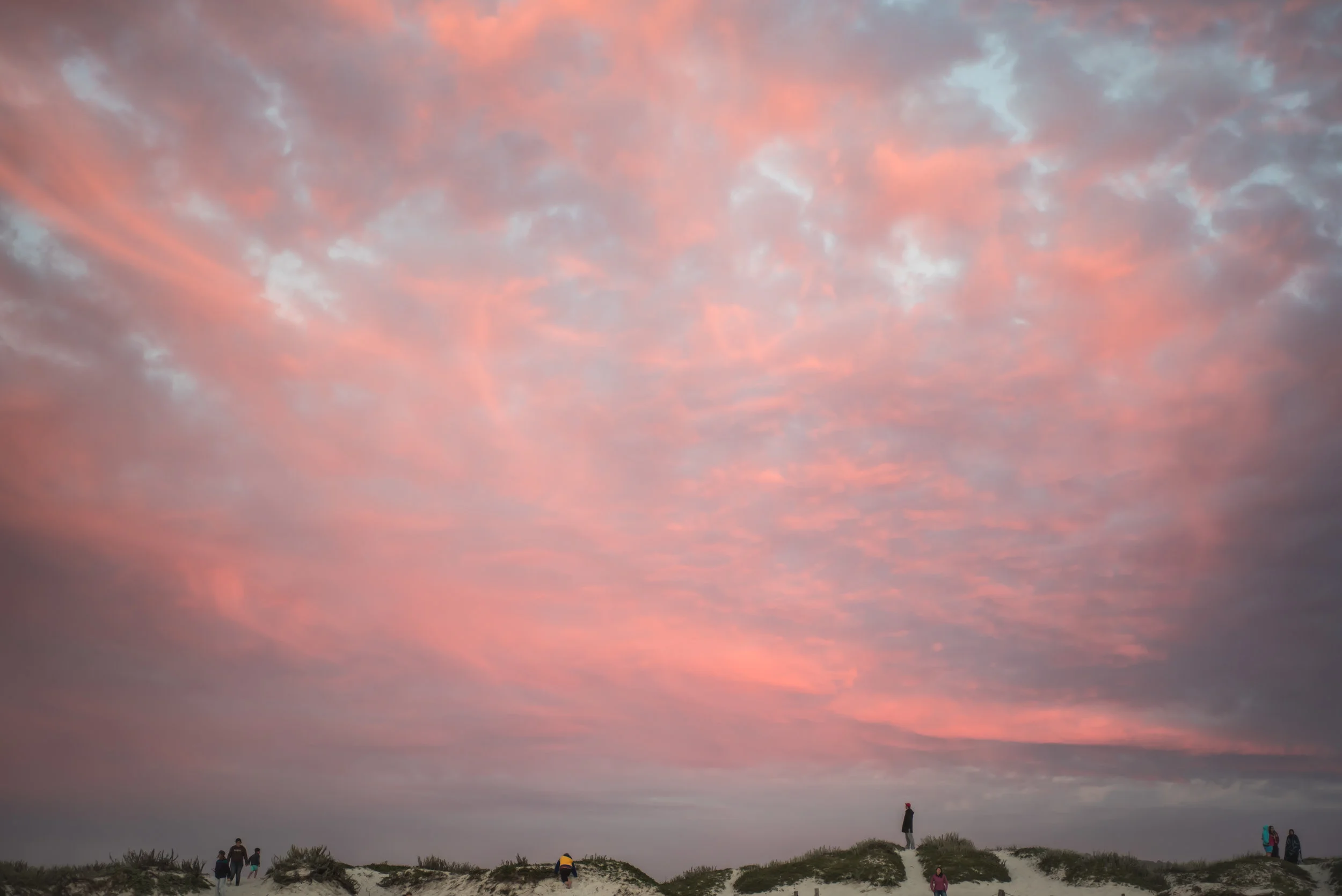 DSC_5572.jpg