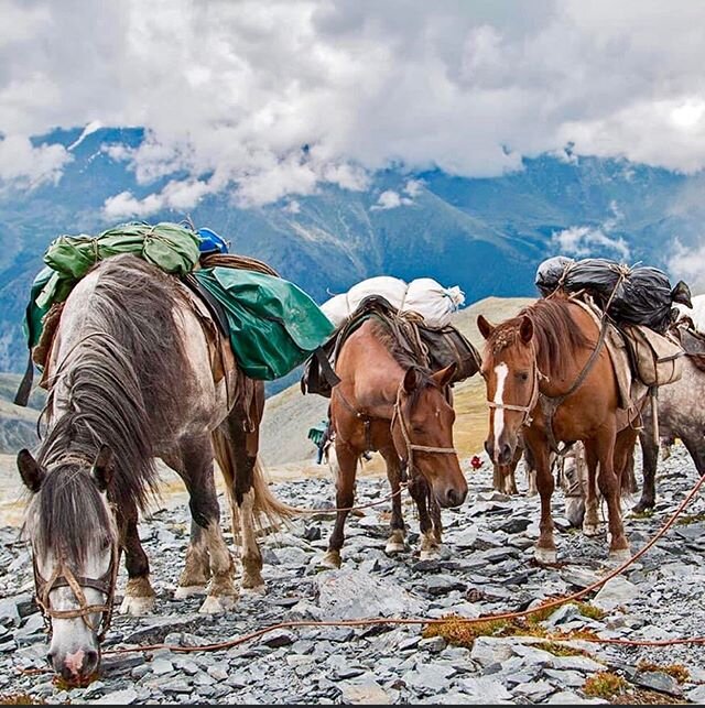 The Most Kind And hepful friends of us 🤗🐎 . .

#horseriding🐴  #horseridingtours  #underthesvanetisky  #summertime  #summeradventures  #kindfriends  #hikingadventures  #trekking  #mountaineering  #svaneti  #caucasusmountains