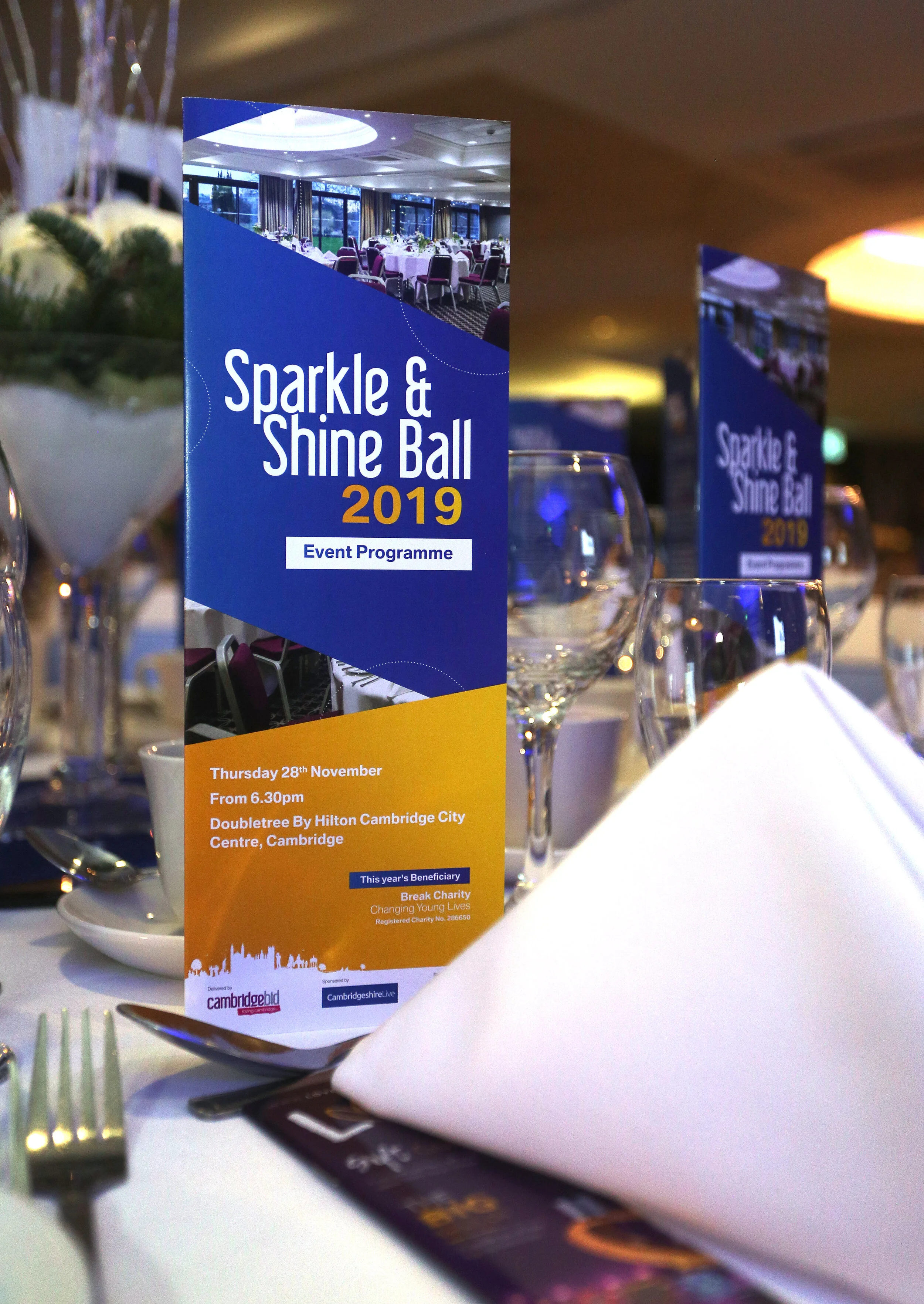 RMG CBID Sparkle & Shine 007.jpg