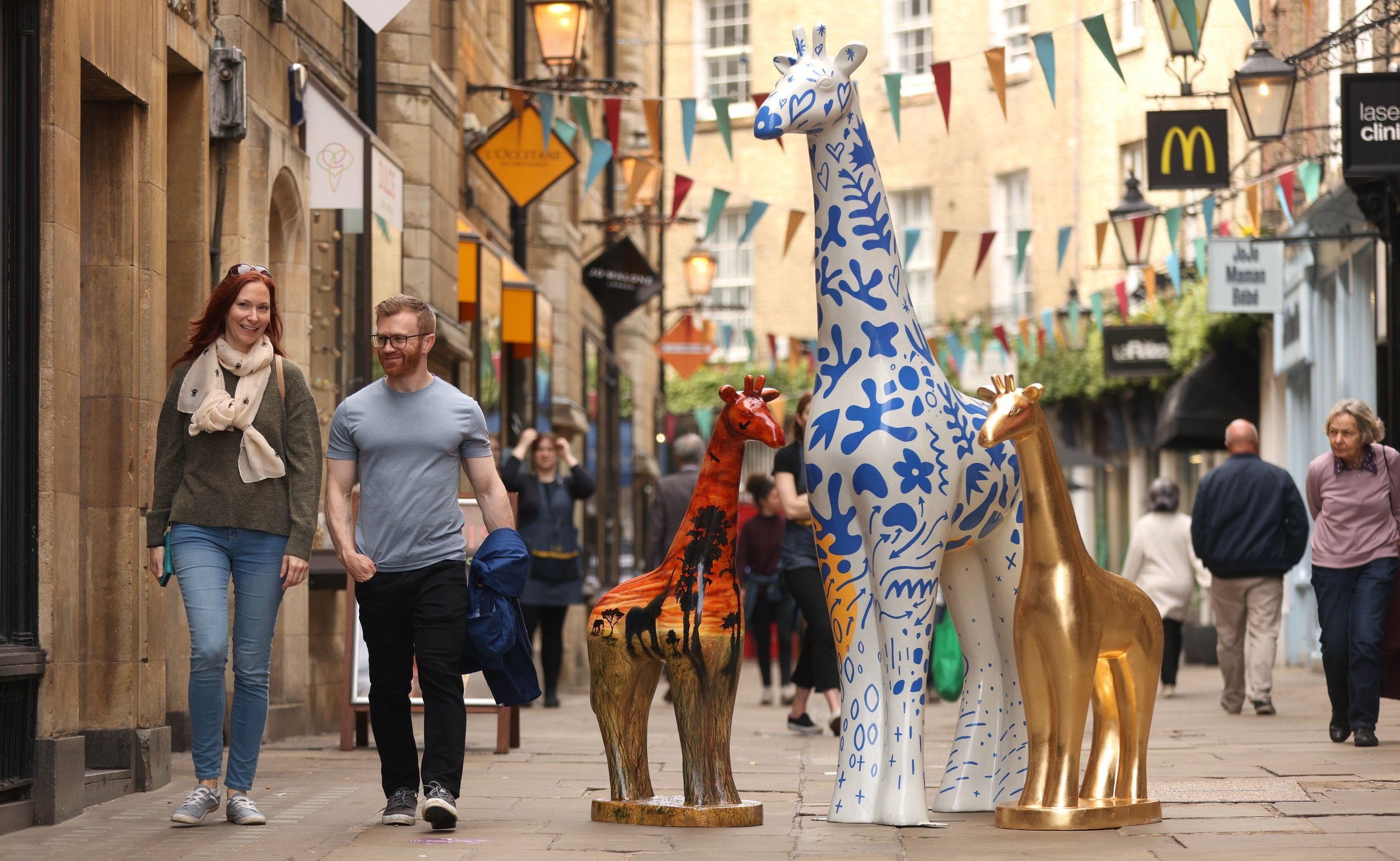 Cambridge Standing Tall