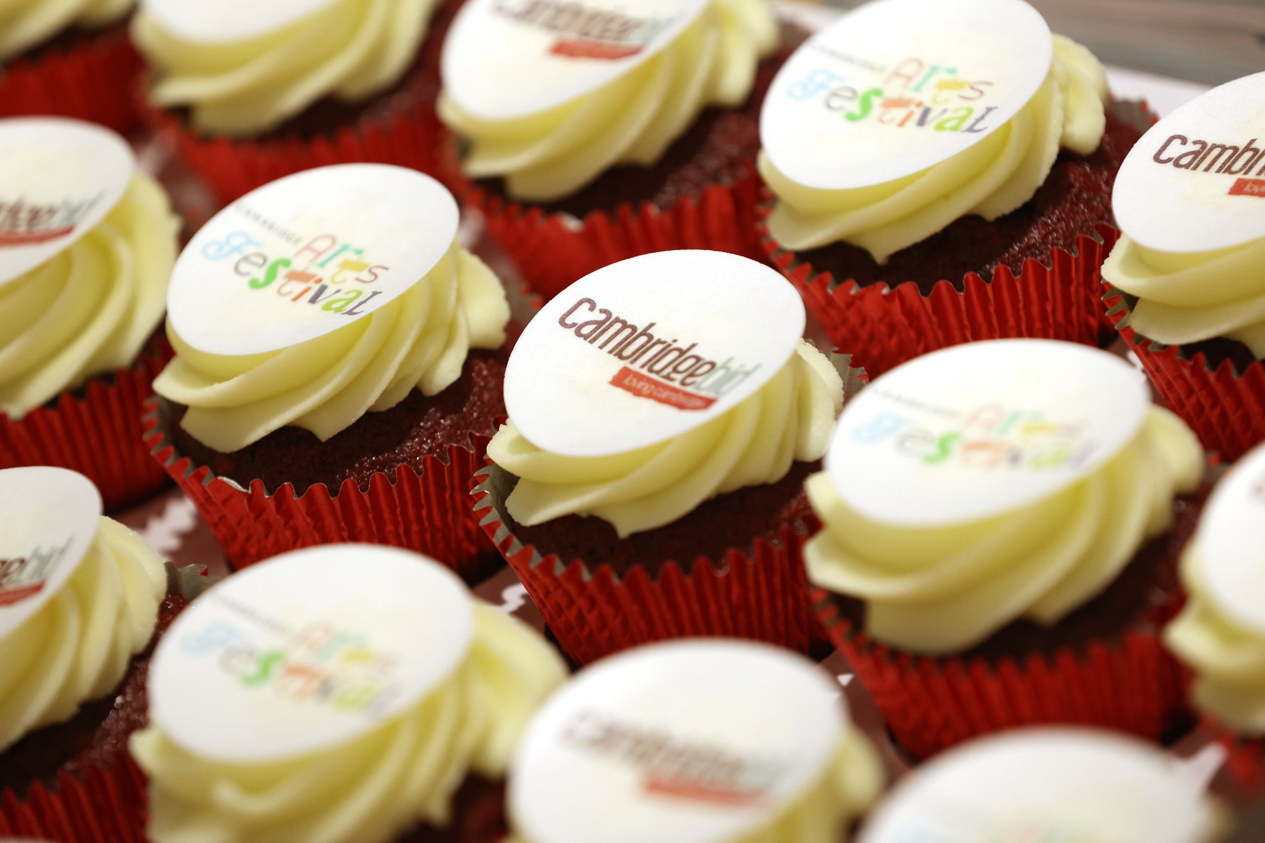 RMG CBID Art Fest Launch009.jpg